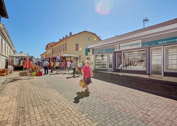 Apartment Lumineux 2 Pers Avec Animaux Admis, Parking Et Wifi - Fr-1-841-26 Barbotan-les-Thermes