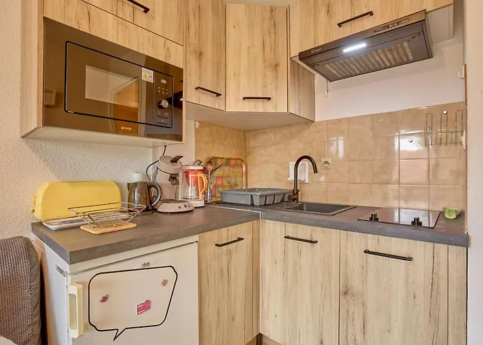 Lumineux 2 Pers Avec Animaux Admis, Parking Et Wifi - Fr-1-841-26 Apartment Barbotan-les-Thermes